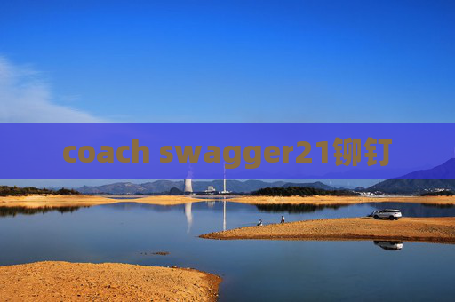 coach swagger21铆钉